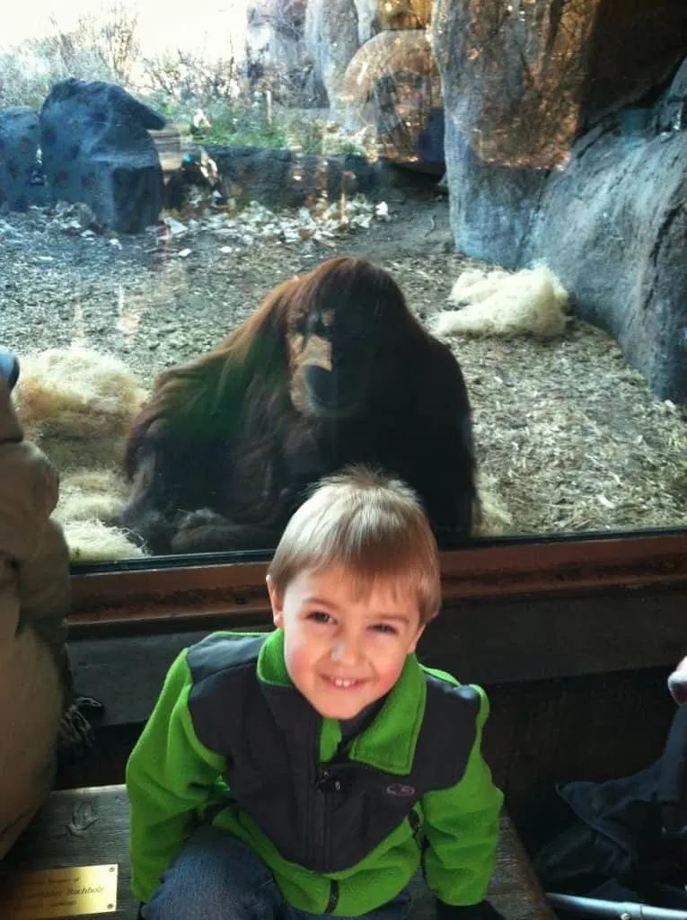 Denver Zoo, We Got the Funk1