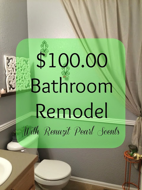Cheap Bathroom remodel, Frugal Bathroom remodel, Grey bathroom, Bright colored bathroom, Renuzit Pearl Scents, Odor Neutralizer, Air Freshener, Long-lasting