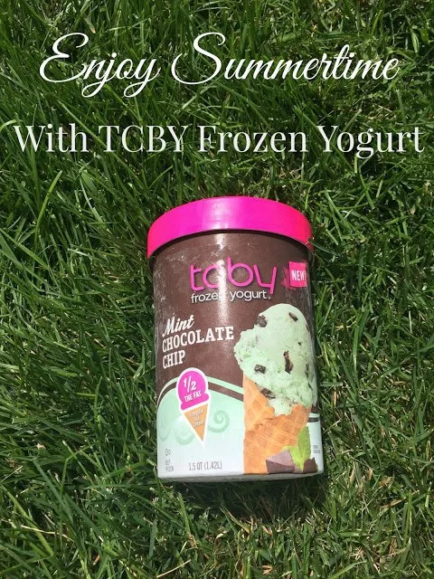 Frozen Yogurt Malt, Giveaway,TCBY, Frozen Yogurt, Get The Scoop Tour, Ice Cream Substitute,Denver Frozen Yogurt / Houston Frozen Yogurt / Austin Frozen Yogurt