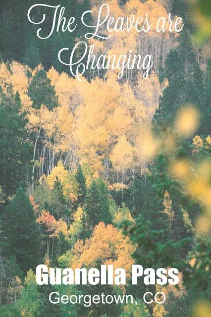 Guanella Pass Colorado, Georgetown Colorado, Aspens Changing Colorado, Leaves changing colorado, 2015