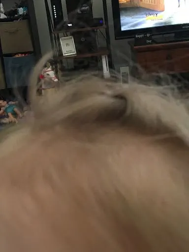 Kids cutting their own hair, how to cut a boys hair