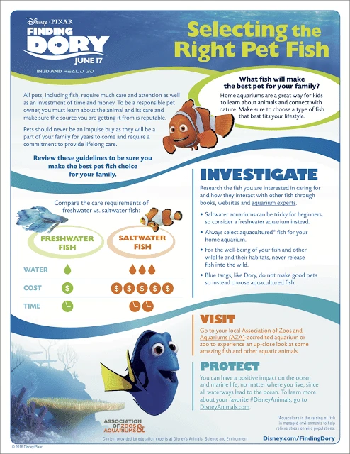 #HaveYouSeenHer, #FindingDory, Finding Dory Honest Review, Finding Dory Printables, Finding Dory kids games, How to pick a family pet, How to pick the best fish for a family.