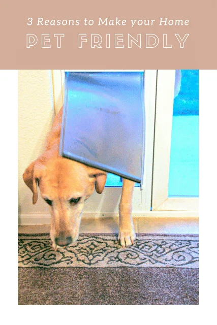 3 Reasons to make your home pet friendly, How to make your home pet friendly, tips to make a home pet friendly, why would you put in a sliding glass dog door, affordable sliding glass dog door, dog doors that are easy to install, easy to install sliding glass dog door