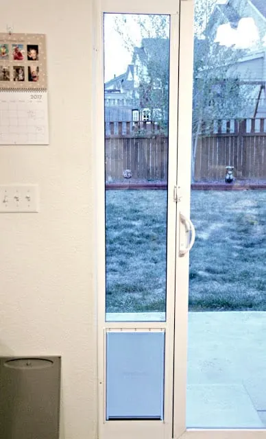 3 Reasons to make your home pet friendly, How to make your home pet friendly, tips to make a home pet friendly, why would you put in a sliding glass dog door, affordable sliding glass dog door, dog doors that are easy to install, easy to install sliding glass dog door