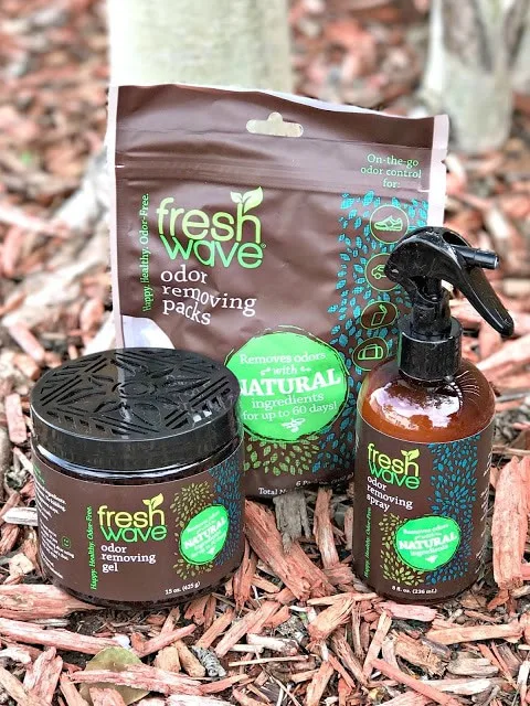 How to freshen up your car naturally, safe ways to freshen up your air, care about your air campaign, fresh wave review, Fresh Wave giveaway, Fresh Wave Odor Removing products, How to freshen up your car, How to clean your vehicle easy