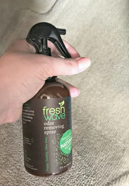 How to freshen up your car naturally, safe ways to freshen up your air, care about your air campaign, fresh wave review, Fresh Wave giveaway, Fresh Wave Odor Removing products, How to freshen up your car, How to clean your vehicle easy