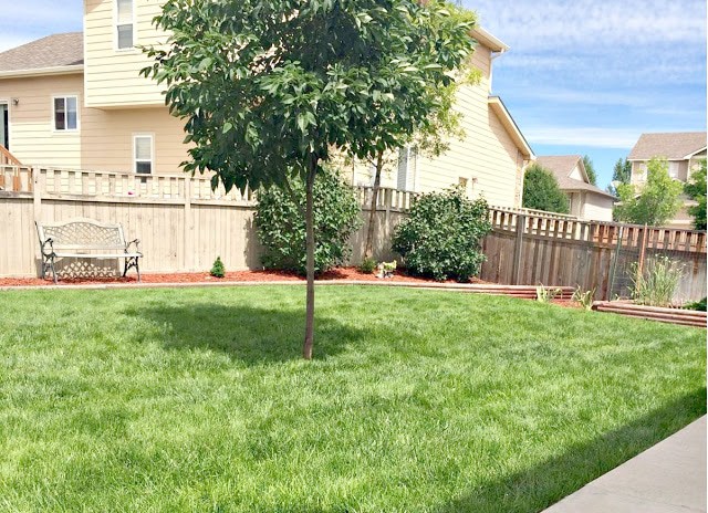How to landscape your yard, how to keep your yard pretty, how to beautify your yard, tips to manage your yard, denver lawn service companies, lawn service companies in denver, colorado lawn service companies, lawn service companies in colorado