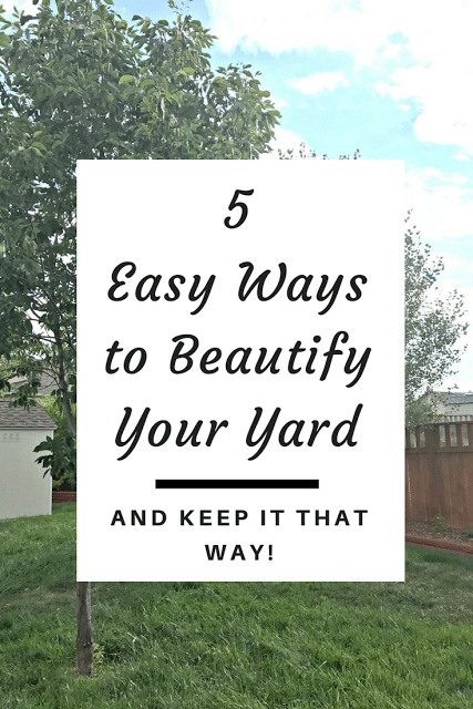 How to landscape your yard, how to keep your yard pretty, how to beautify your yard, tips to manage your yard, denver lawn service companies, lawn service companies in denver, colorado lawn service companies, lawn service companies in colorado