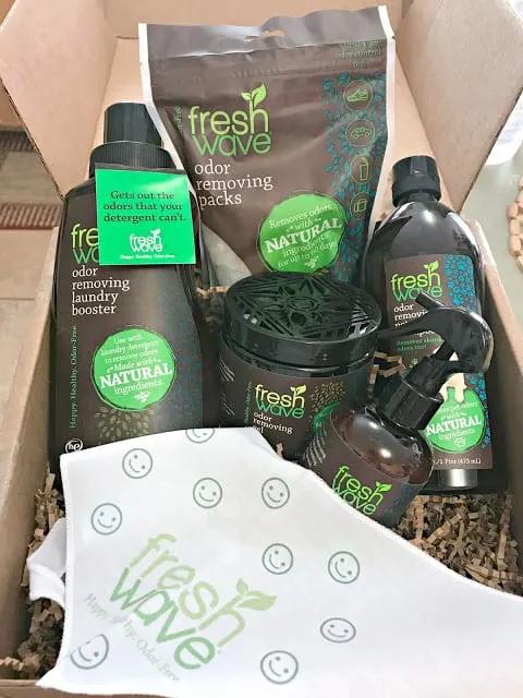 ideas to freshen home, how to naturally remove odors, how to naturally freshen up your house, affordable natural dog wash, tips to freshen up your home with a puppy