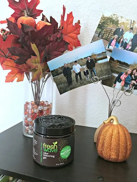 ideas to freshen home, how to naturally remove odors, how to naturally freshen up your house, affordable natural dog wash, tips to freshen up your home with a puppy