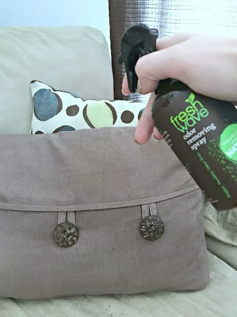 ideas to freshen home, how to naturally remove odors, how to naturally freshen up your house, affordable natural dog wash, tips to freshen up your home with a puppy