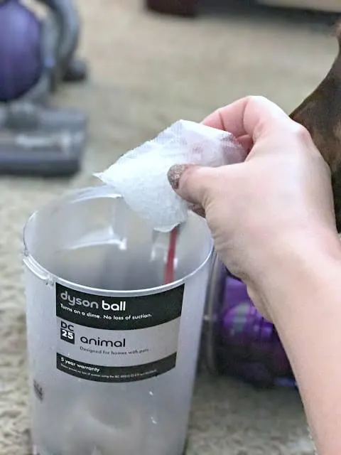 ideas to freshen home, how to naturally remove odors, how to naturally freshen up your house, affordable natural dog wash, tips to freshen up your home with a puppy