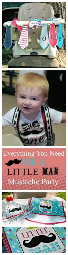 How to throw a mustache baby birthday party, where to purchase items for a mustache themed party for cheap, First birthday party theme ideas for a boy, Little Man birthday theme ideas, mustache theme party ideas, oriental trading mustache party decor