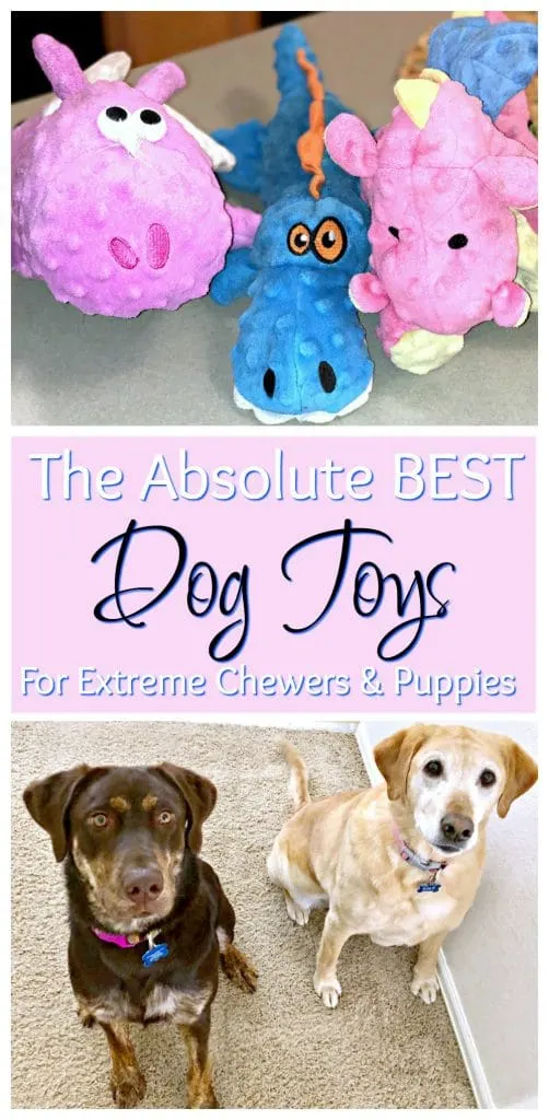 Dog Toys for Extreme Chewers - We Got The Funk
