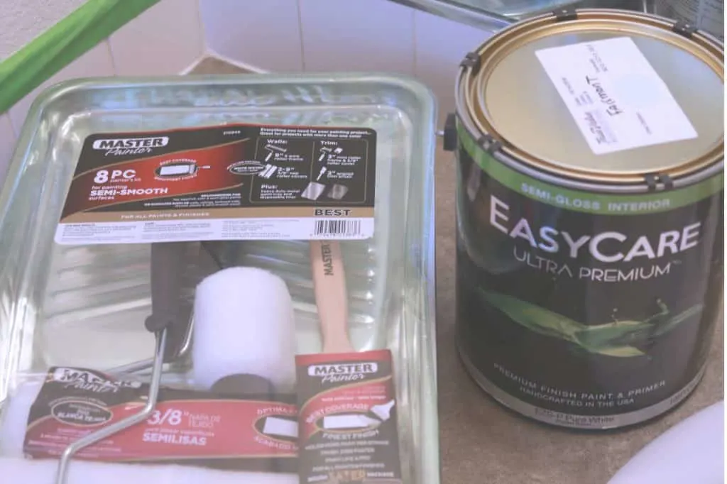 True Value EasyCare Ultra Premium Paint, Woodland bathroom makeover, simple bathroom makeover, allergy friendly paint, asthma friendly paint, asthma and allergy certified paint, paint with low VOC's, best paint for pregnant women