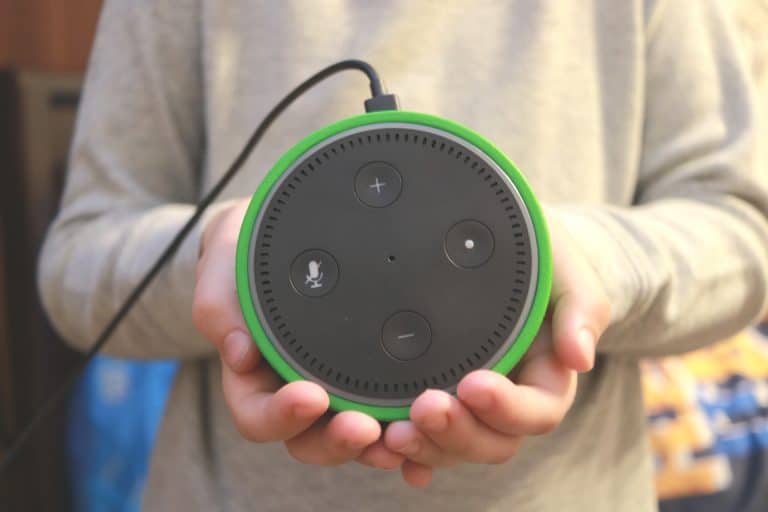 EVERYTHING You Want to Know About the Echo Dot Kids Edition