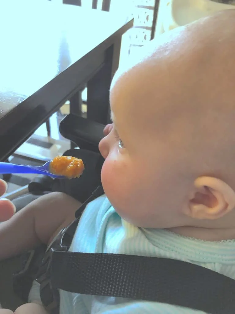 Simple Beech Nut Mommy Party, Baby food, Best baby food,