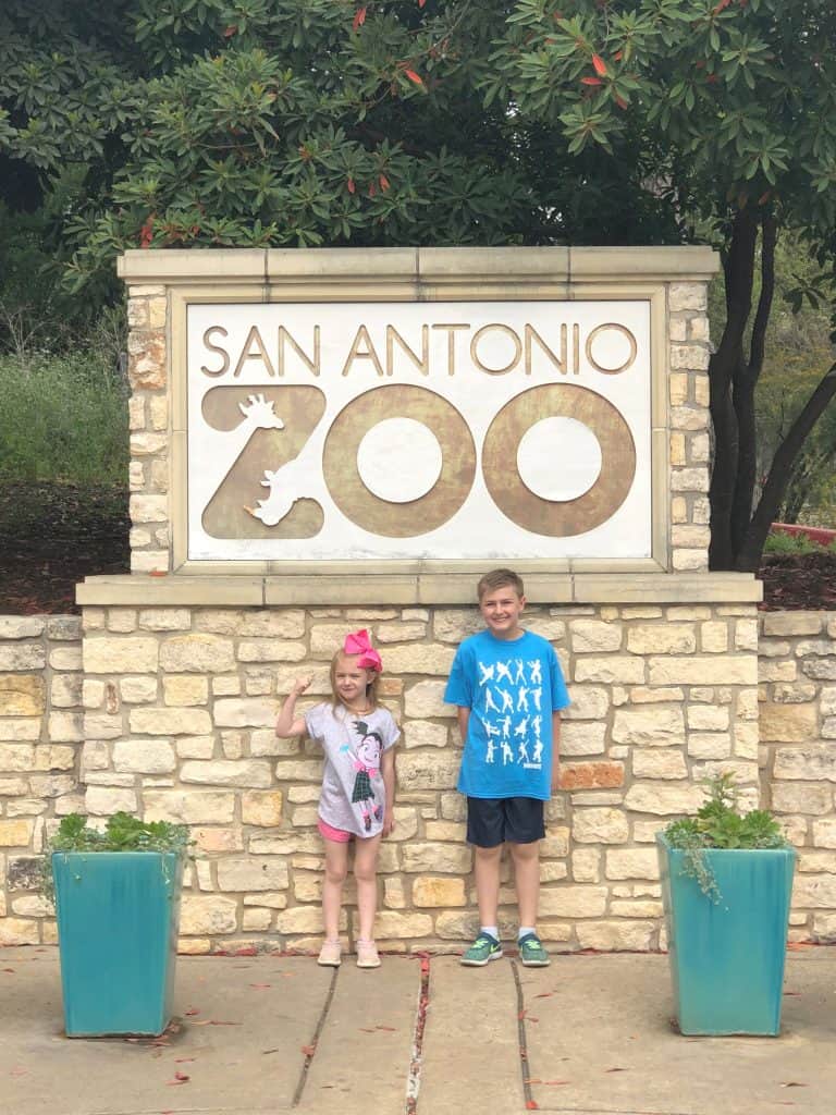 Reasons to visit the San Antonio Zoo, Things to do in San Antonio Texas, Family friendly things to do in San Antonio Texas