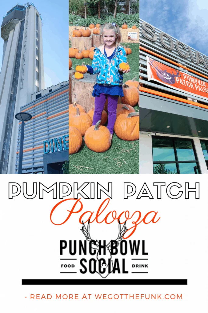 Pumpkin Patch Palooza at Punch Bowl Social