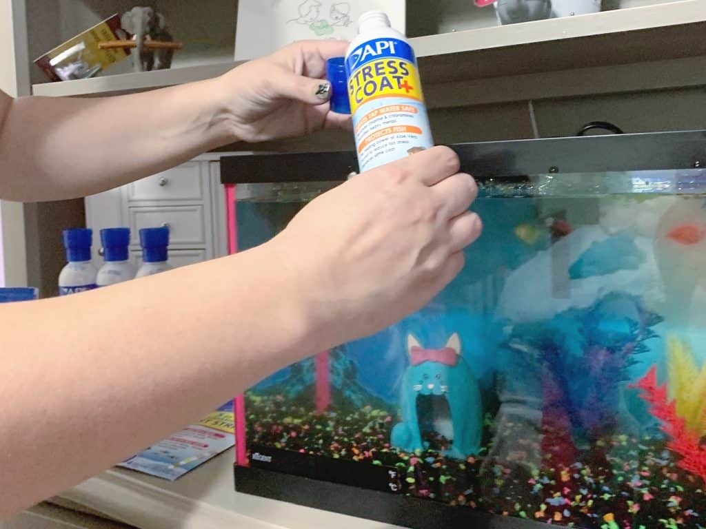Adding fish tank chemicals