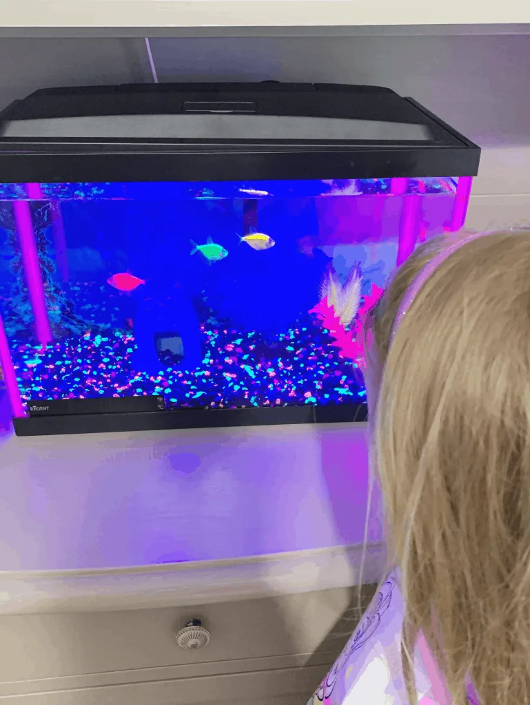 Girl looking at tropical fish