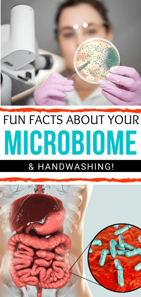 Fun Facts about your microbiome