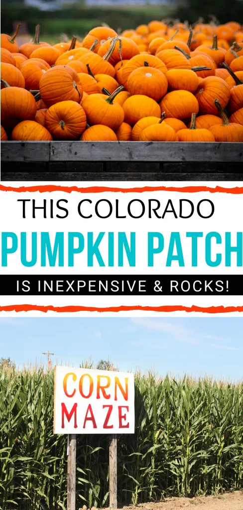 This Colorado Pumpkin Patch is inexpensive and rocks. 
