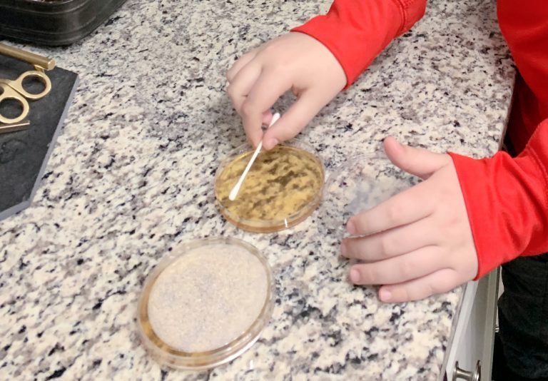 How to Make Agar Petri Dishes to Grow Bacteria
