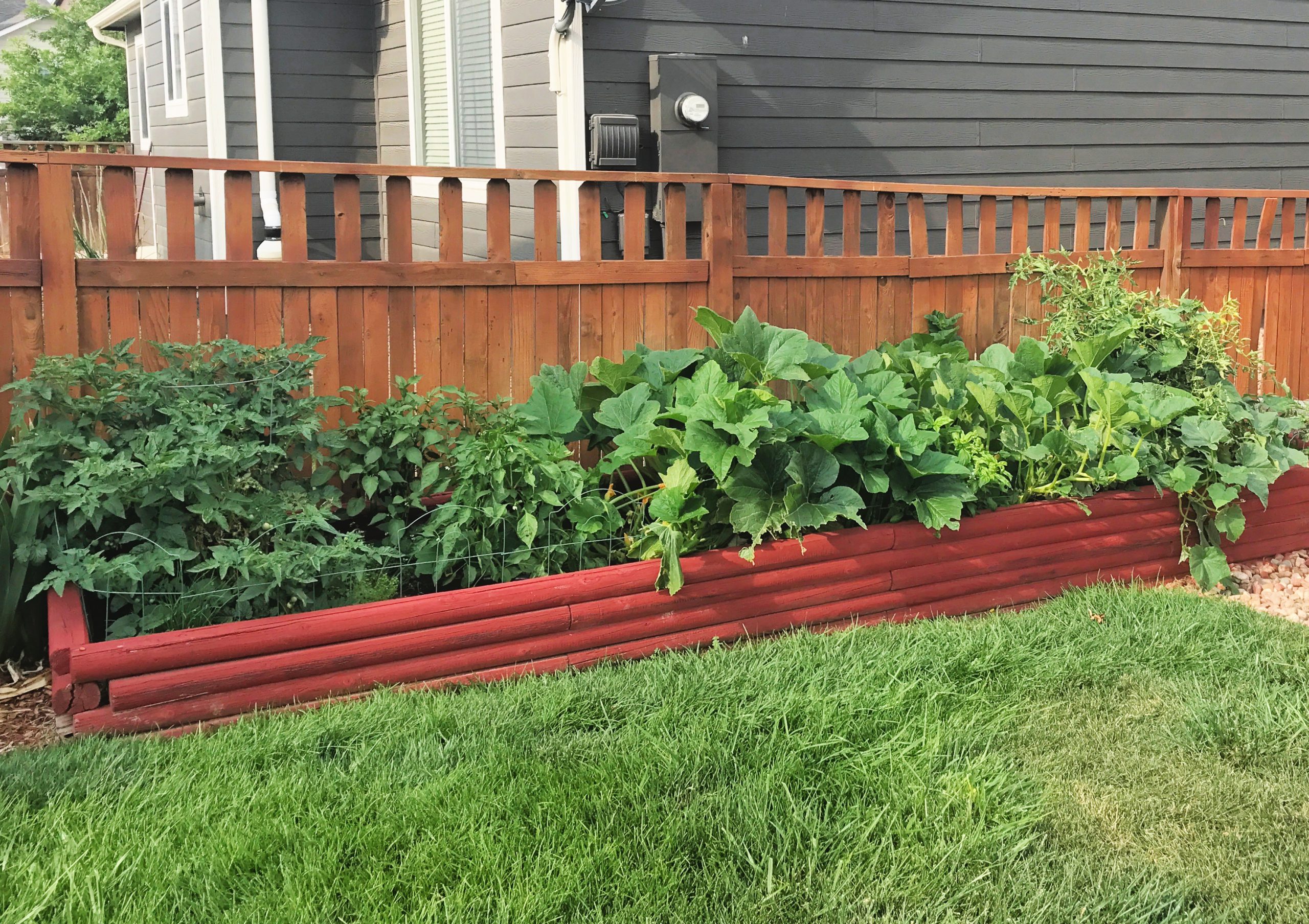3 Sustainable Living Ideas You Can Do NOW! - We Got The Funk